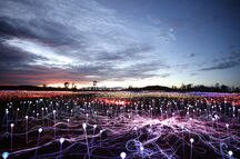 Field of Light in Uluru Field of Light in Uluru